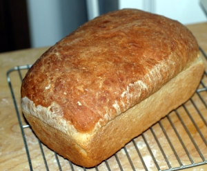 bread 101